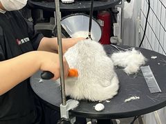 -PETKIT小佩宠物(古北店)