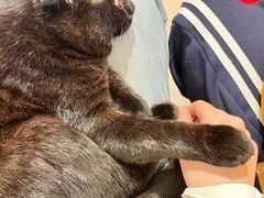 -平行世界·猫咖(首经贸店)