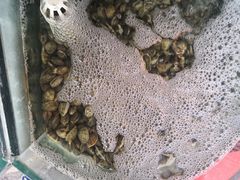 -烁佳海鲜大馅饺子