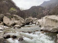-沣峪口