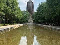 -玲珑塔公园