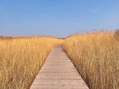 -野鸭湖国家湿地公园