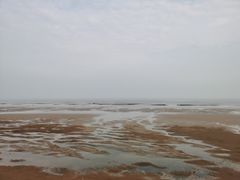 -老家黄墩小错鸡·活海鲜