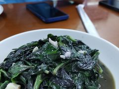 -全乐鱼馆·淳牌有机鱼直营店