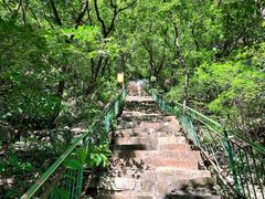 -老象峰