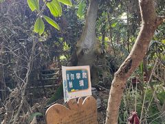 -呀路古热带植物园