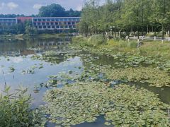 -铁山坪森林公园