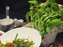 -同仁四季椰子鸡(罗湖国贸店)