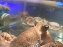 -V-ONE西雅图海鲜自助餐厅(仓山万达广场店)