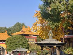 -南京市江宁方山