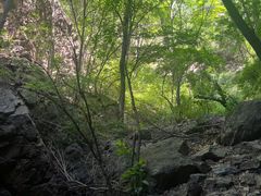 -雾灵西峰