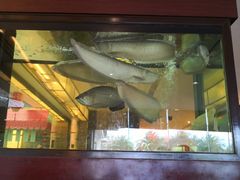 大堂-厦门悦华酒店·绿庭主题自助餐厅