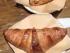 -自由生长植物工作室(深港花卉中心店)