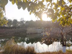 -眉山湿地公园(东坡区)