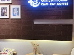 大堂-藏猫猫咖啡主题馆(中央大道店)