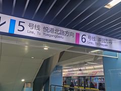 -大龙山(地铁站)