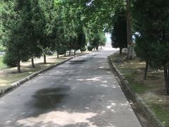 -咸阳湖景区-古渡公园