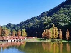 -广州市石门国家森林公园