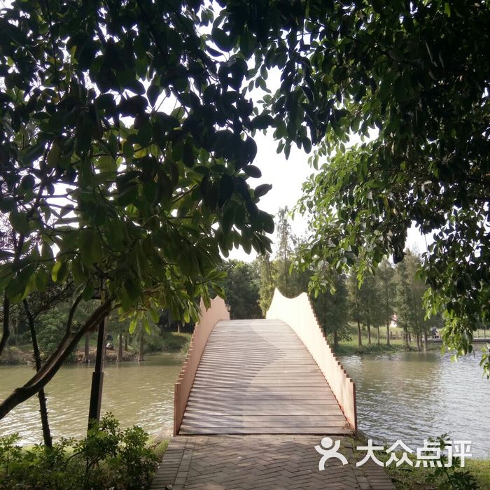 绿岛湖湿地公园