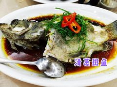 -盈旺小厨·非遗黄鳝饭(泰康路店)