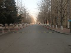 -辽宁大学(崇山校区)