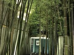 -穹六人间 people 6(岳阳路店)