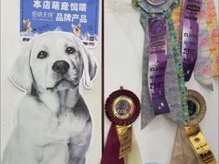 -唐小姐の私宠·宠物洗护美容·撸猫馆·购宠(周浦万达旗舰店)