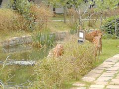 -观唐（国际）度假村温泉