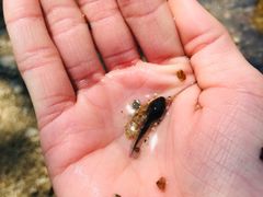 -碓臼峪自然风景区