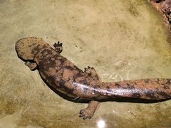 -杭州野生动物世界