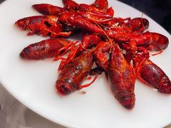 精品酒醉龙虾-红盔甲·小龙虾(车公庙店)