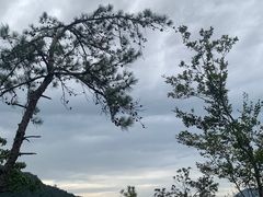 -龙湾潭国家森林公园