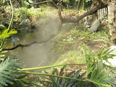 -南通洲际绿博园