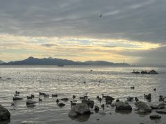 -深圳湾公园(南山区)