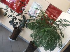 -李先生牛肉面大王(济泺路店)