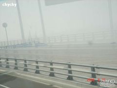 -洋山深水港