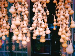 -中环花鸟鱼虫市场