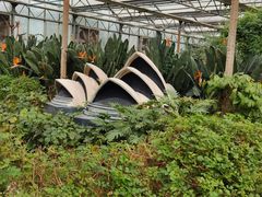 -南宫五洲植物乐园