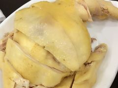 白切鸡-慧娟面馆·餐厅(望江路店)