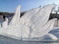 -长春市南湖公园