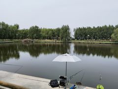 -白渔泡湿地公园