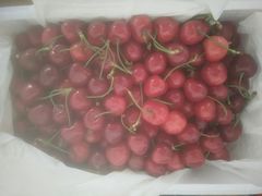 -福瑶修脚(农大总店)