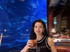 -迪拜帆船酒店海底餐厅