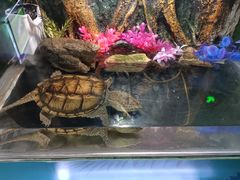 -梦幻海洋王国(吾悦广场张家港店)