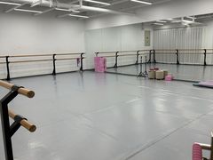 -中央芭蕾舞团·中芭艺蕾(酒仙桥明星校区)