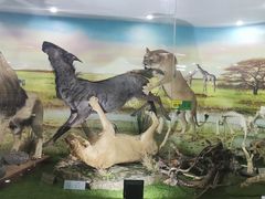 -郑州自然博物馆(惠济区)