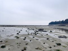 -北海金海湾红树林生态旅游区