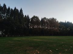 -范蠡湖公园