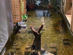 -邈墨茶馆(凤起路店)