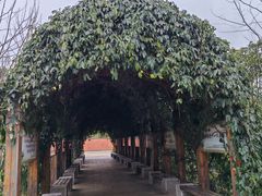 -贵阳市花溪国家城市湿地公园
